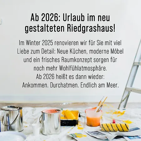 Riedgrashaus Riedgras 2